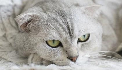 如果你只想做一件事:先把91大事件的清晰度设置做稳