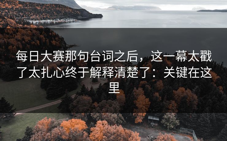 每日大赛那句台词之后,这一幕太戳了太扎心终于解释清楚了:关键在这里