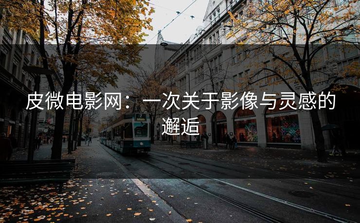 皮微电影网：一次关于影像与灵感的邂逅