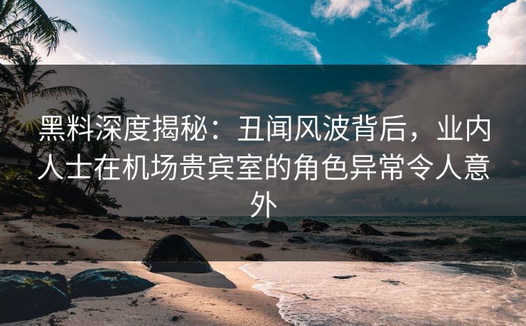 黑料深度揭秘：丑闻风波背后，业内人士在机场贵宾室的角色异常令人意外