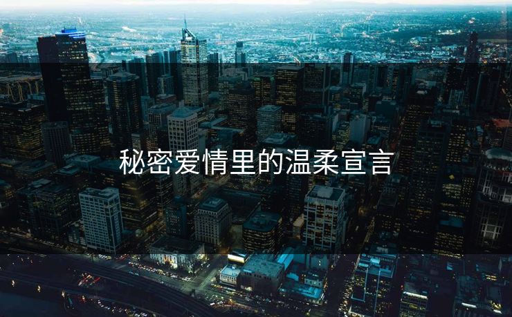 秘密爱情里的温柔宣言