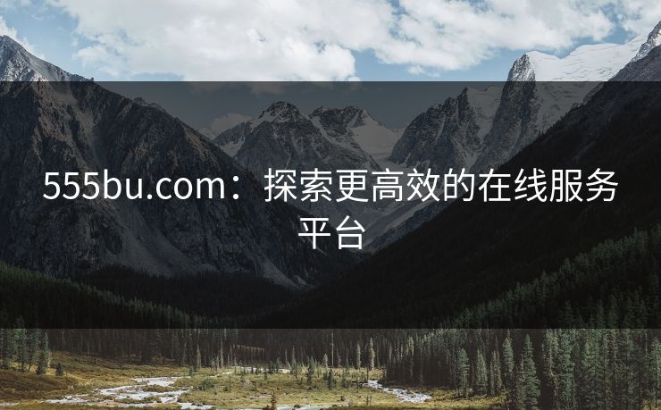 555bu.com:探索更高效的在线服务平台 555bu.com:探索更高效的在线服务平台