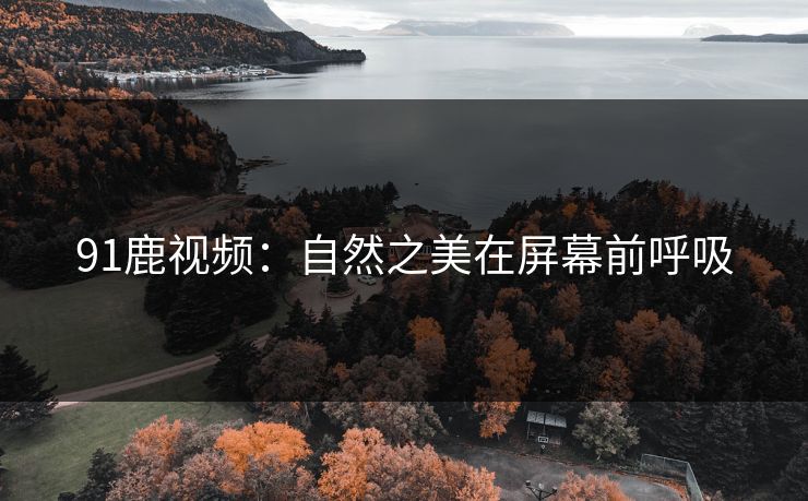 91鹿视频：自然之美在屏幕前呼吸