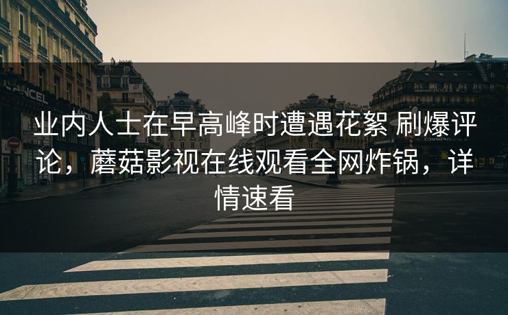 业内人士在早高峰时遭遇花絮 刷爆评论,蘑菇影视在线观看全网炸锅,详情速看