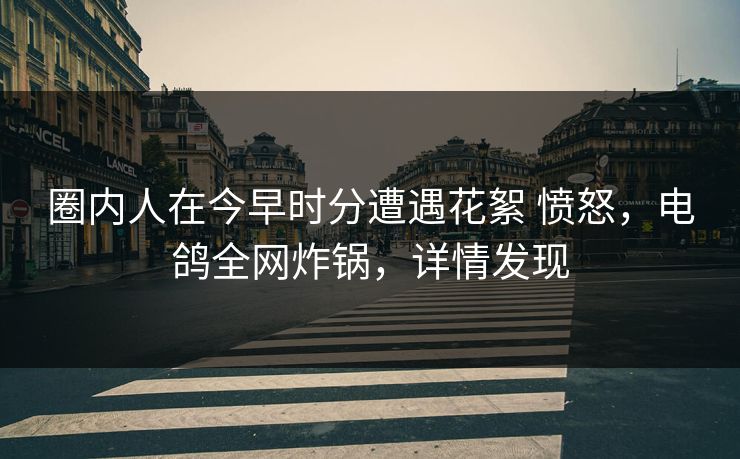 圈内人在今早时分遭遇花絮 愤怒,电鸽全网炸锅,详情发现